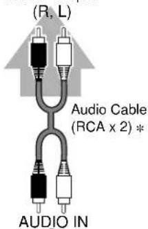 (R, L) Audio Cable (RCA x 2) * AUDIO IN
