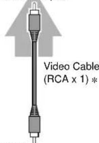 Video Cable (RCA x 1) *