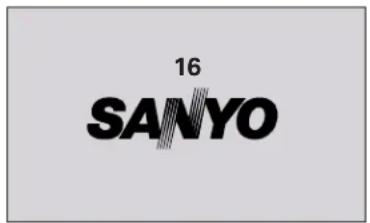 16 SANYO