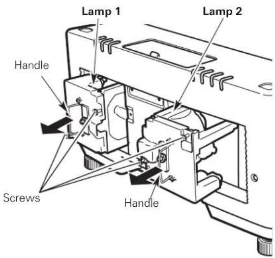 Lamp 1 Lamp 2 Handle Screws Handle