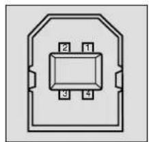 SANYO PLC-EF12B - CONNECTING TO THE USB PORT CONNECTORS (1 and 2) - 1