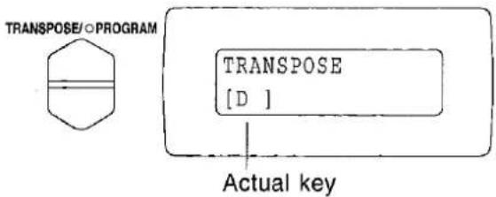 TECHNICS SX-PX338 - Transpose - 2