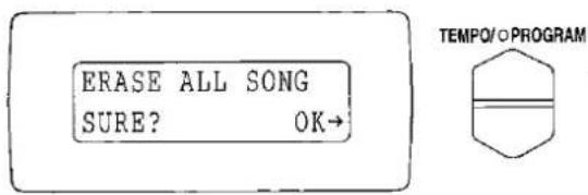 ERASE ALL SONG SURE? OK→ TEMPO/PROGRAM