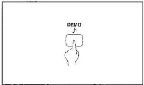 DEMO
