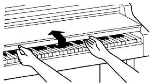 TECHNICS SX-PX338 - Keyboard cover - 1