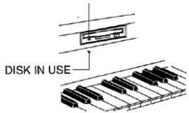 DISK IN USE