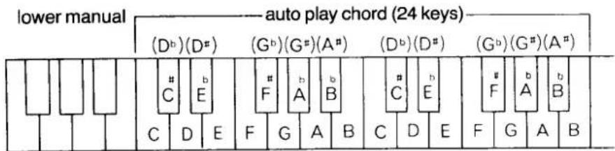 lower manual auto play chord (24 keys) (Db)(D#) (Gb)(G#)(A#) (Db)(D#) (Gb)(G#)(A#) C E # F A B # C E # F A B C D E F G A B C D E F G A B