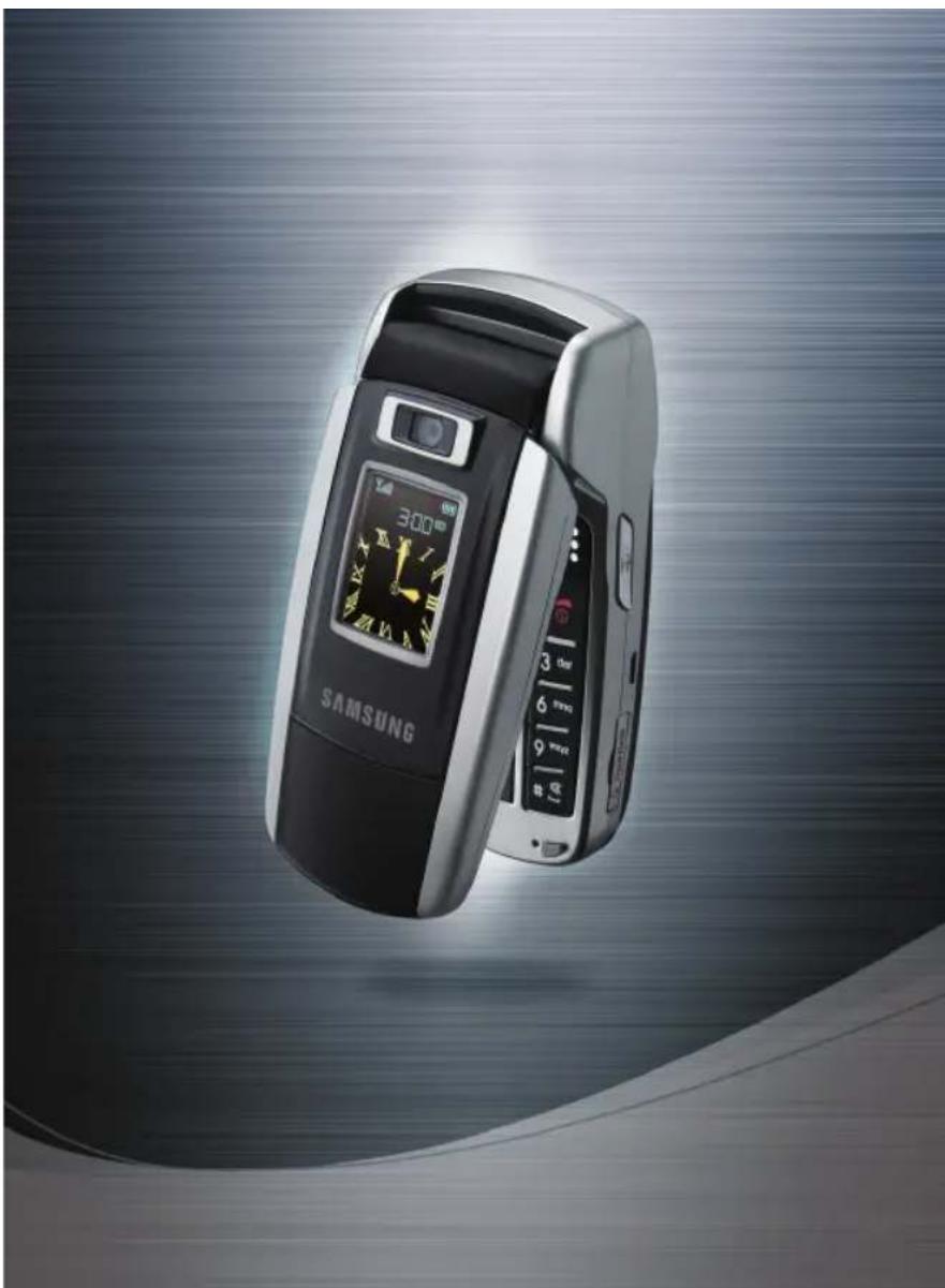 SAMSUNG SGH-Z500V - SAMSUNG ELECTRONICS - 3
