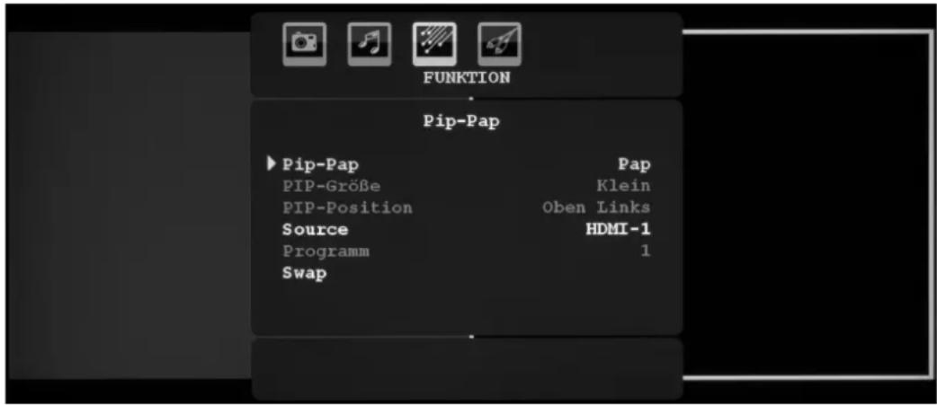 Tevion P15017 (MD 30373) - Das PAP-Menü - 1