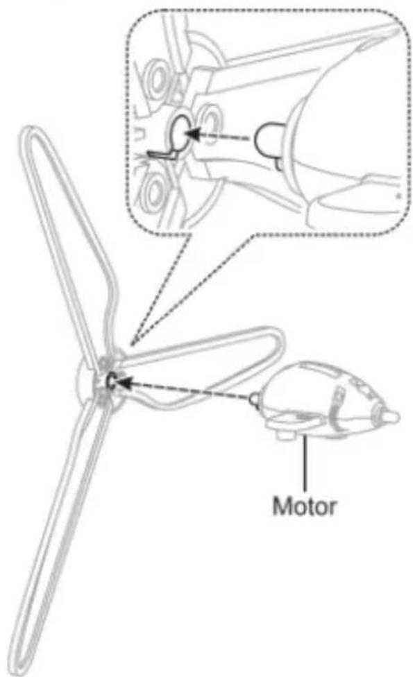 Motor