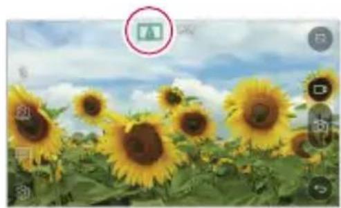Field of sunflowers under a cloudy sky with a green circular icon in the top-left corner (no text or symbols on the flower image itself)