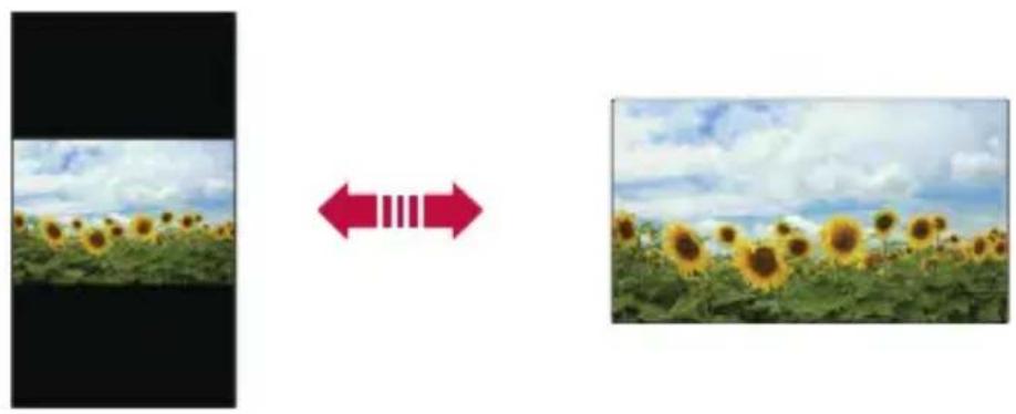 Two-panel image showing sunflowers in a field under a cloudy sky, with a red double-headed arrow indicating the direction (no text or symbols)