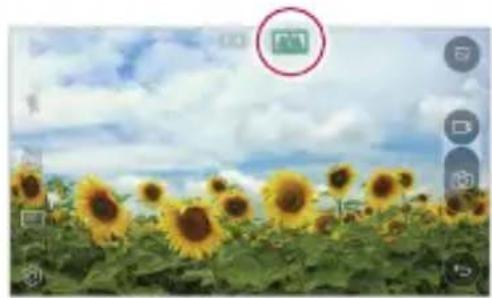 Field of sunflowers under a cloudy sky, with a small icon overlay (no text or symbols on the flower field)