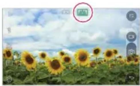 Field of sunflowers under a cloudy sky, with no visible text or symbols