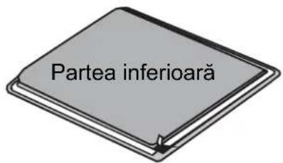 Partea inferioară