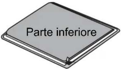 Parte inferiore