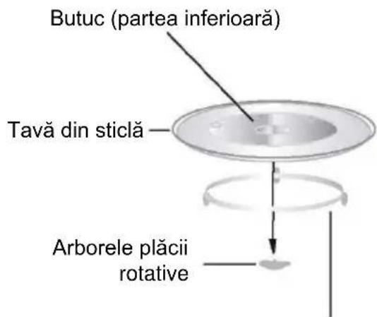 Butuc (partea inferioară) Tavă din sticlă Arborele plăcii rotative