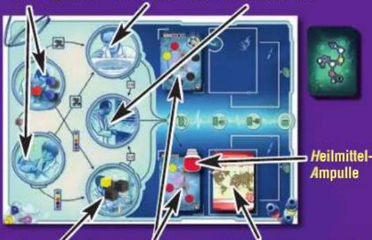 Asmodee Pandemie Im Labor - Proben verarbeiten (Laboraktion) - 2