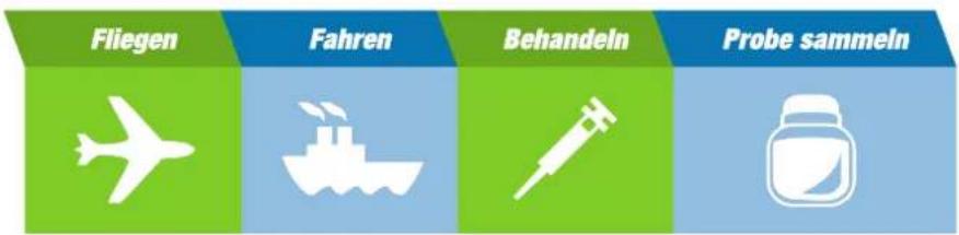 Asmodee Pandemie Die Heilung - Die vier Standardaktionen sind: - 1