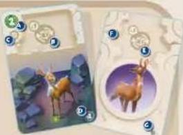 Asmodee Dice Forge - VORDERSEITE - 1