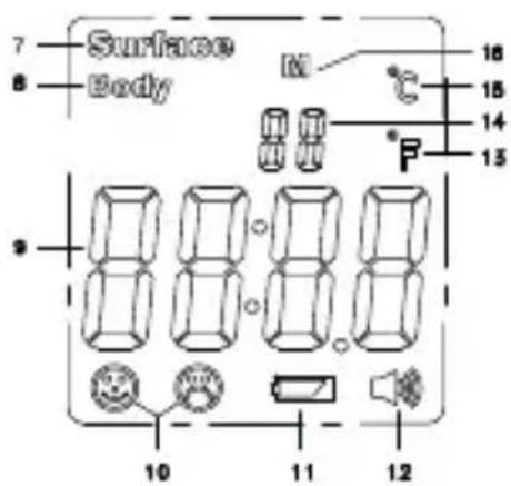 Surface Body M 18 15 14 13 P 9 10 11 12