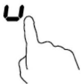 u