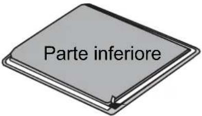 Parte inferiore
