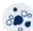 BLUEAIR Classic 680i - NEW - 8