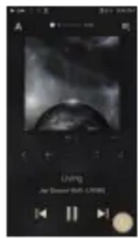 Astell&Kern A&ultima SP2000 - Registered Trademarks - 4