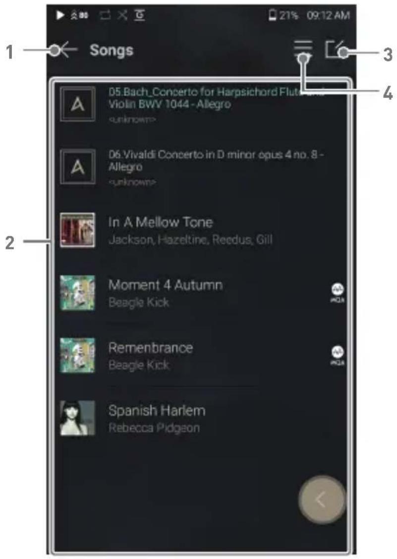 Astell&Kern A&ultima SP2000 - Listening to Music - 1