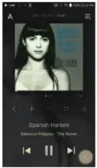 Astell&Kern A&ultima SP2000 - Streaming Music from Your Library - 1
