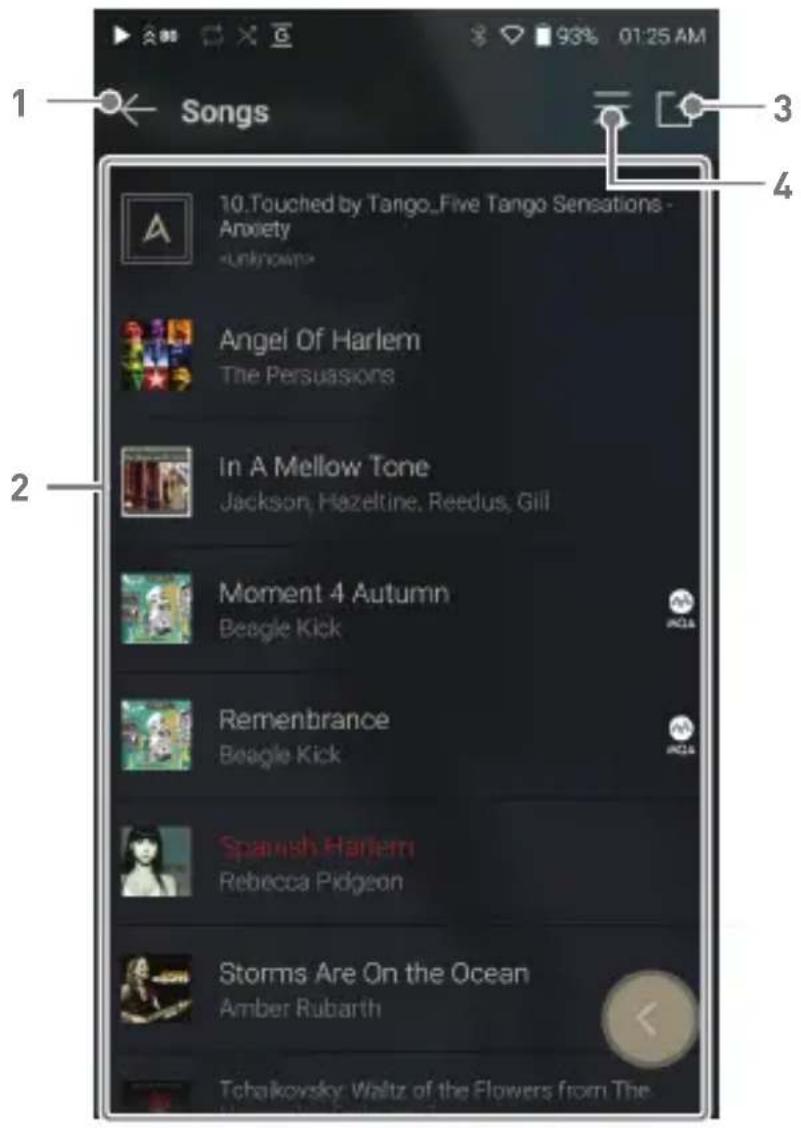 Astell&Kern SA700 - Musik hören - 2