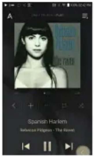 Astell&Kern A&norma SR25 - Musik aus Ihrer Bibliothek streamen und herunterladen - 1