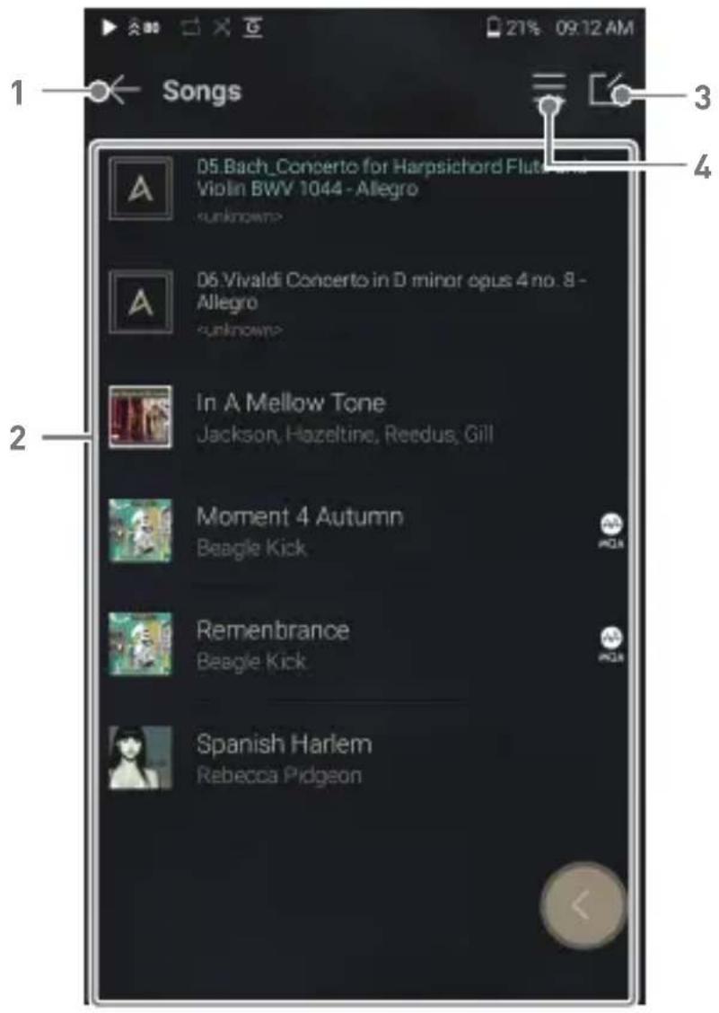 Astell&Kern A&norma SR25 - Musik hören - 2