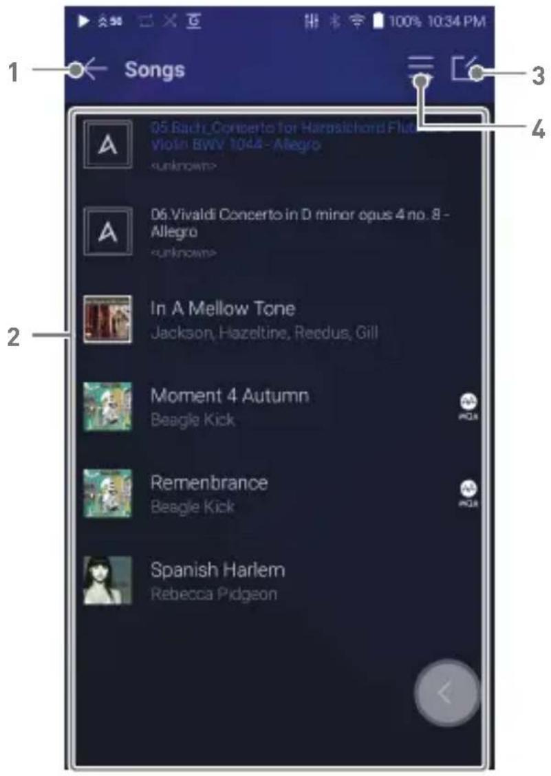 Astell&Kern A&futura SE200 - Listening to Music - 2