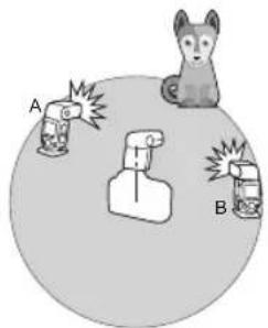 A B