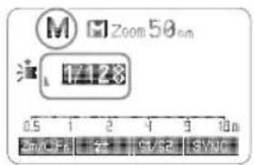 Zoom 50 nm 1:23 0.5 1 2 4 10 m Am/FF 25% 5V/SP 5V/WD