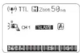 (●) TTL Zoom 50nm CH1 SLAVE 2m/Chin Chl Ch+