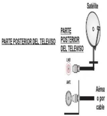 Teleco TFV20D - Conexión de la Antena - 1