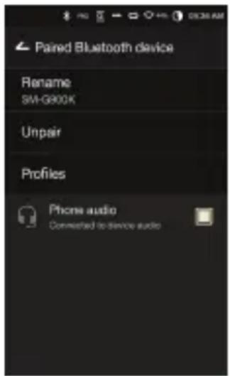 Astell&Kern AK300 - Removing a Bluetooth Pairing - 1