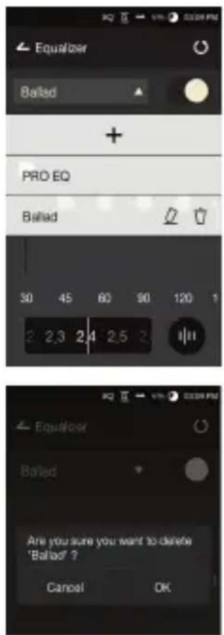 Astell&Kern AK300 - Deleting an Equalizer - 1
