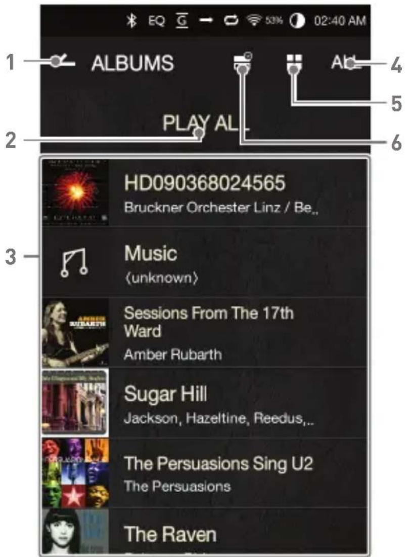 Astell&Kern AK300 - Listening to Music - 1