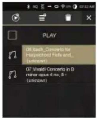Astell&Kern AK300 - Removing a Song from a Playlist - 1