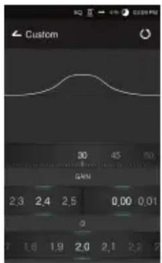 Astell&Kern AK300 - Equalizer Setup - 5