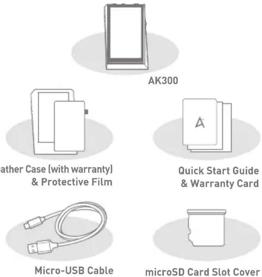 Astell&Kern AK300 - Package Contents - 1