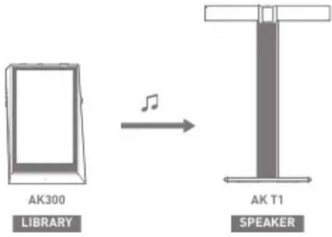 Astell&Kern AK300 - AK Connect Usage Examples - 1
