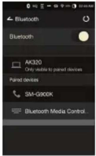 Astell&Kern AK300 - Turning Bluetooth On/Off - 1