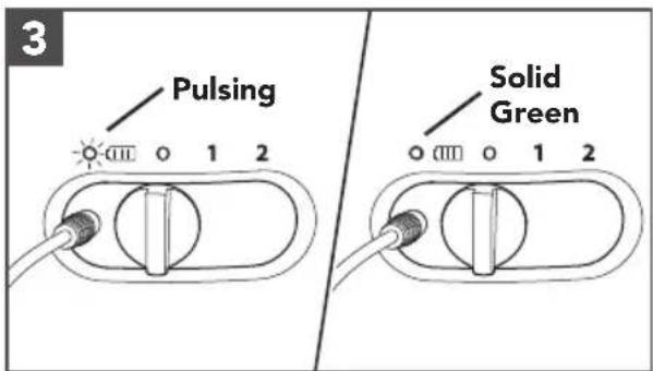3 Pulsing Solid Green 1 2 1 2