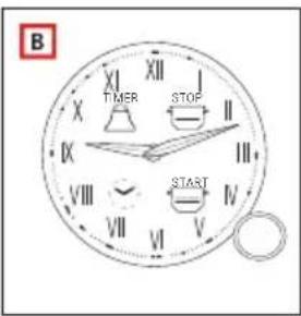 B XII TIMER STOP IX VIII VII VI V VIII VII V I II III IV START