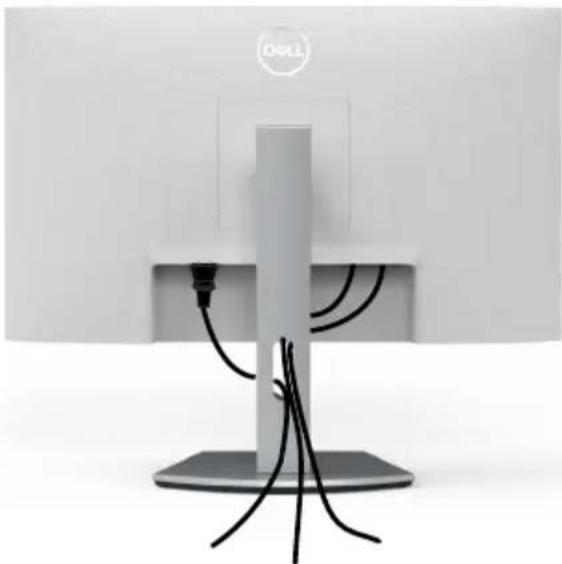 DELL S Series S2421HS - Kabel organisieren - 1